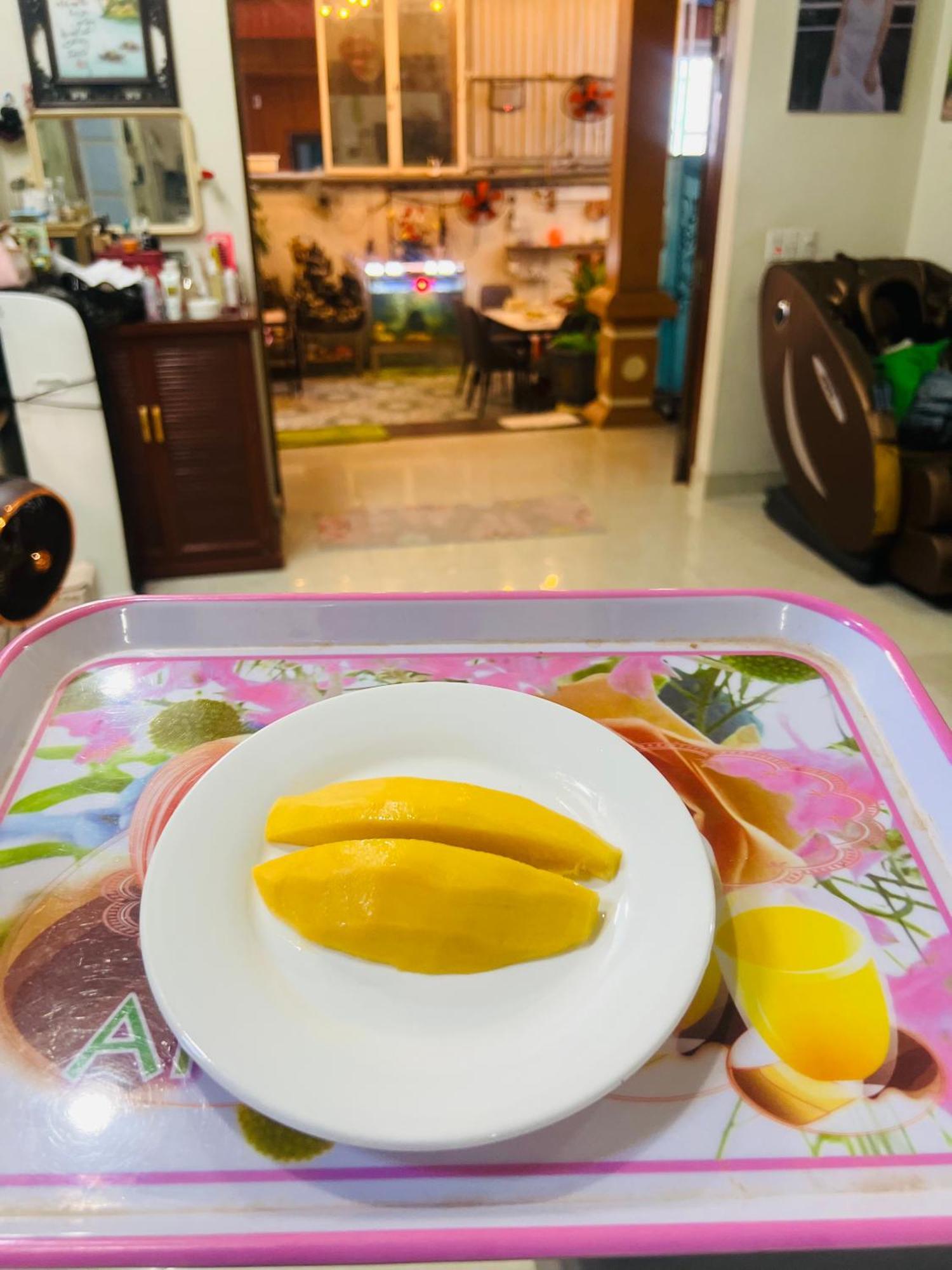 Cat Ba Mystery Homestay Dong Khe Sau Exterior photo